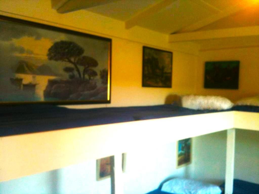 הוסטל Benmore Taringatura Backpackers מראה חיצוני תמונה
