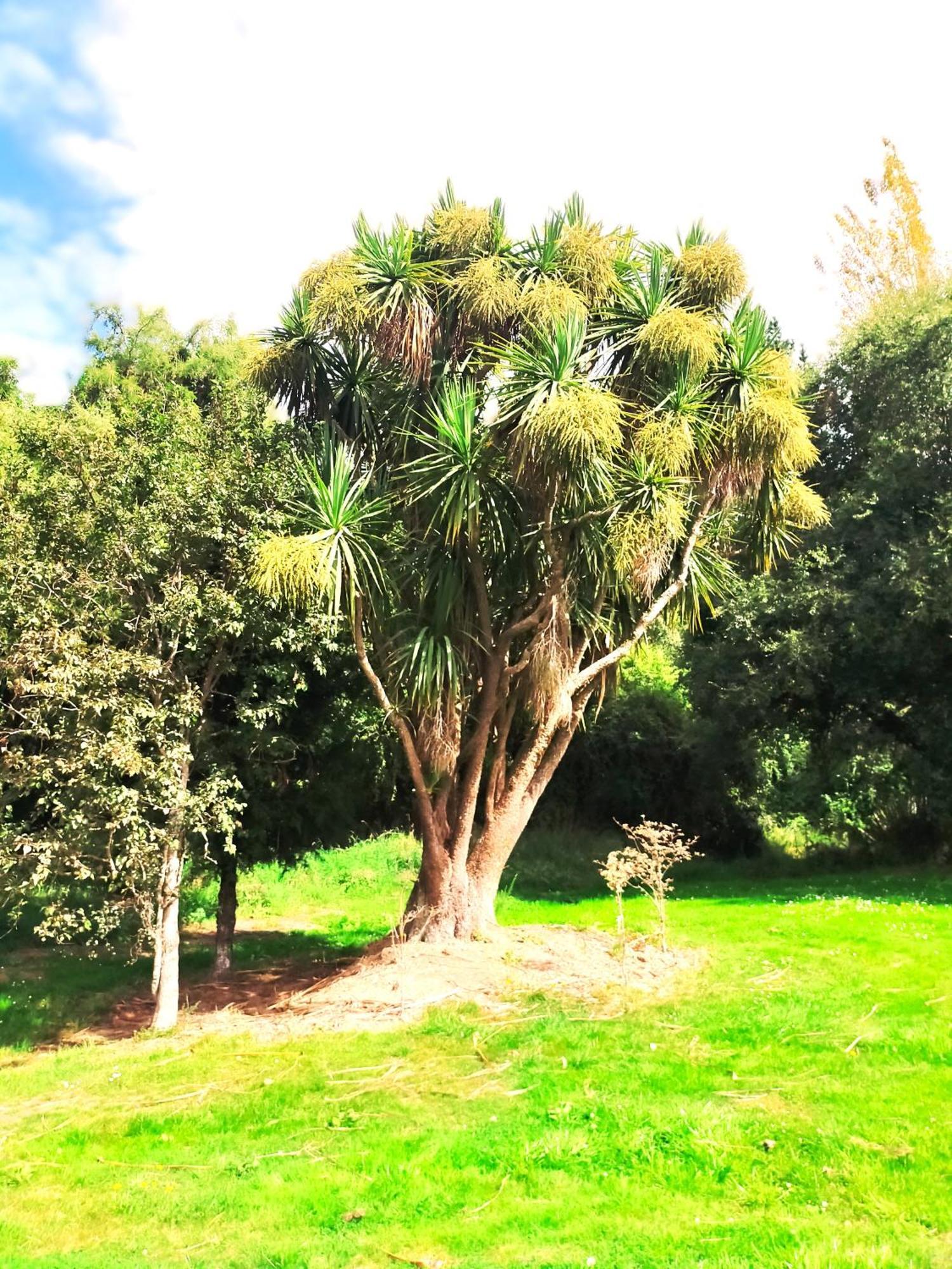הוסטל Benmore Taringatura Backpackers מראה חיצוני תמונה