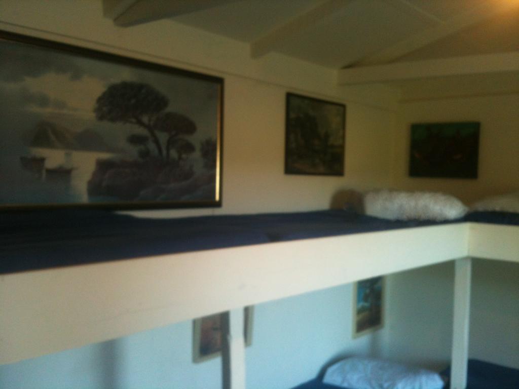 הוסטל Benmore Taringatura Backpackers מראה חיצוני תמונה